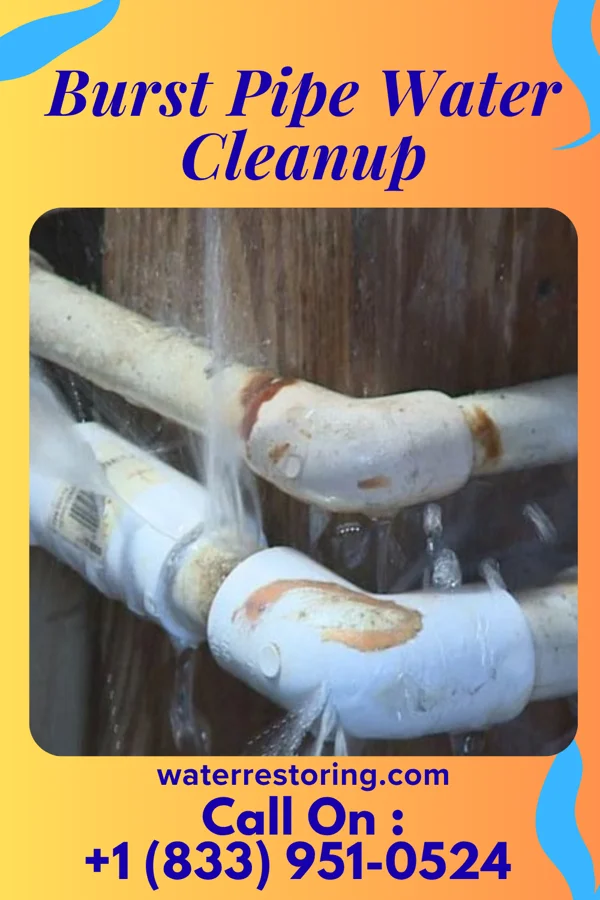 Burst Pipe Water Cleanup in Simpsonville, SC