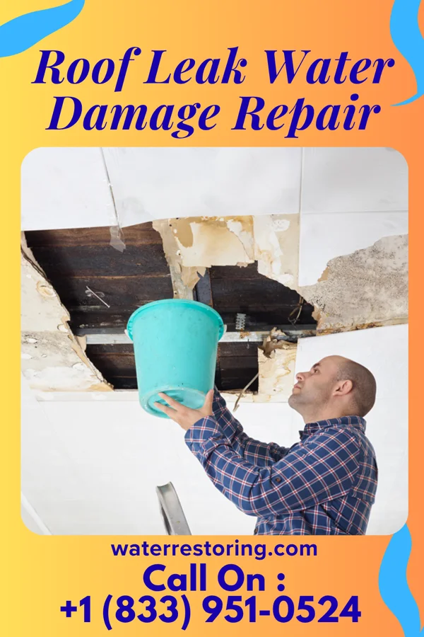 Roof Leak Water Damage Repair in Simpsonville, SC