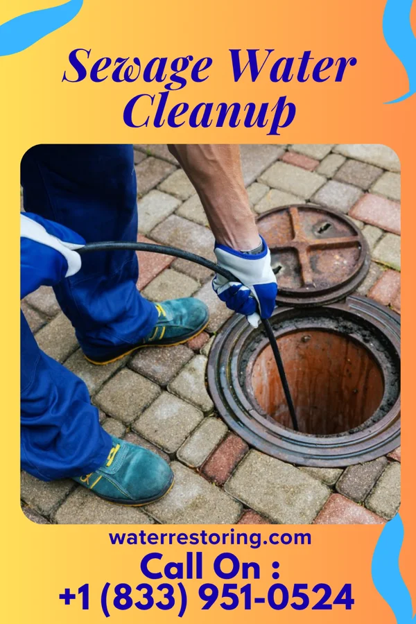 Sewage Water Cleanup in Simpsonville, SC